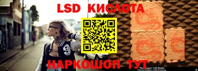 шишки Краснознаменск