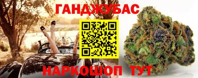 шишки Краснознаменск