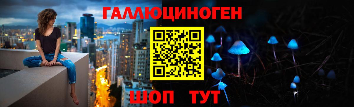 Псилоцибиновые грибы MAGIC MUSHROOMS  Вход с VPN  Верхняя Пышма 