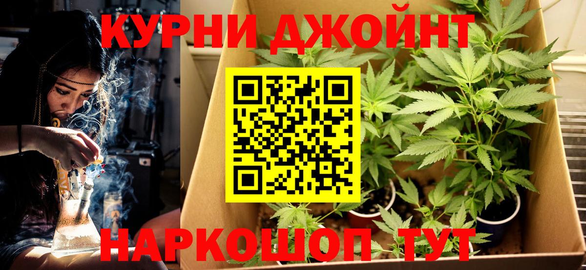 Верхняя Пышма  Бошки марихуана SATIVA & INDICA  Вход с VPN  Бошки марихуана ГИДРОПОН  Конопля гибрид 